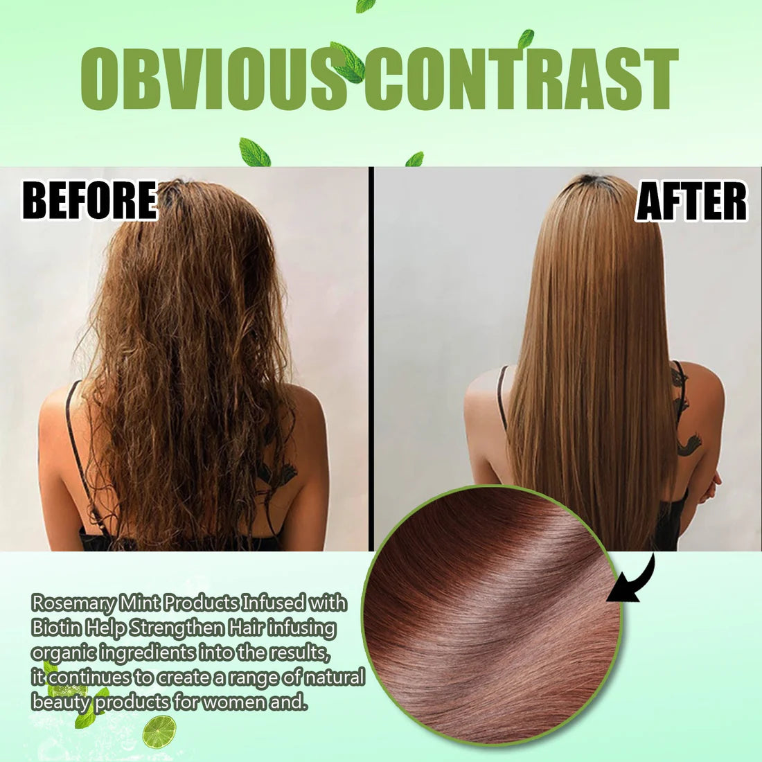 Rosemary Mint Shampoo | Moisturizing & Repairing | Frizz Control | Sulfate-Free Formula